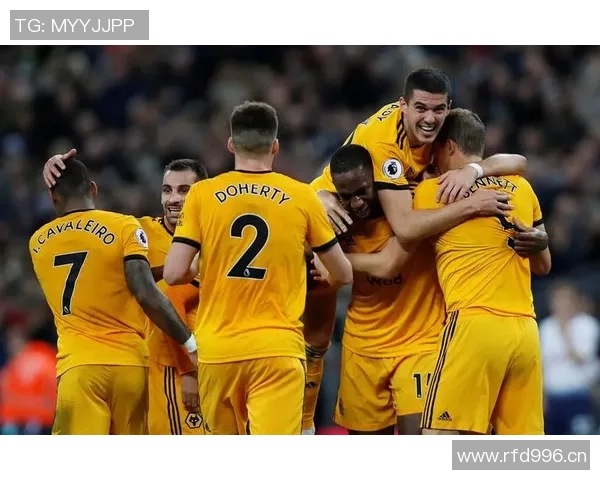 英超狼队足球队历年战绩及发展轨迹分析